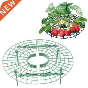 Strawerry Growing Supporter Garden alcony Planting Rack Pl