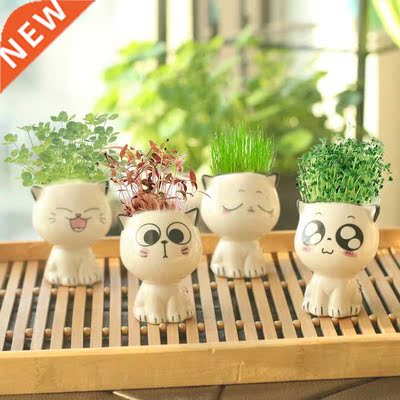 Mini Cat Shaped Ceramic Flowerpot Cartoon Cute Hand Desktop