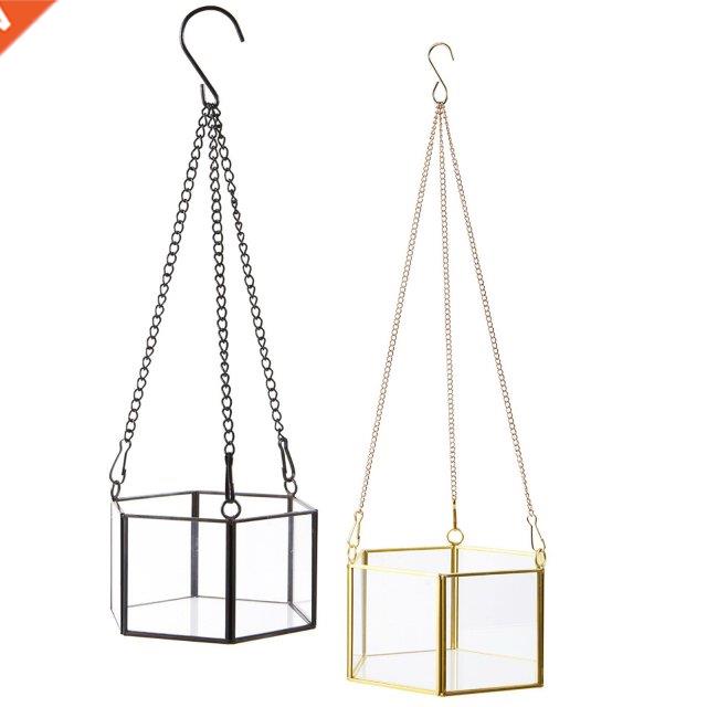 Modern Hanging Glass Terrarium Geometric Hexagon Shaped Succ
