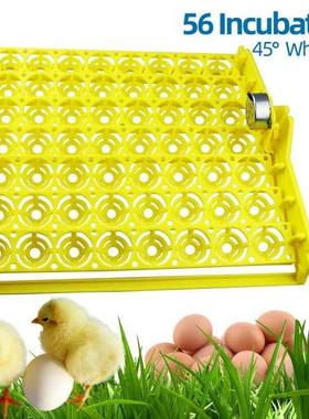 56 Eggs ncubator Eggs Automatc ncubator ncubator motor T