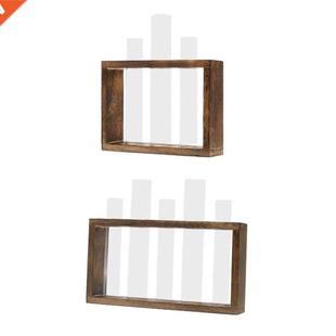 Test Flower Asthetic Terrariumin Flow Hydroponic Tube Plants