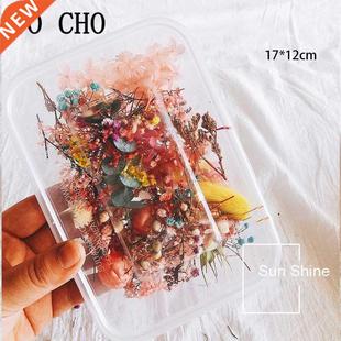 1 Box 10 Kind Dried Flower  Accessories Dry Aromatherapy