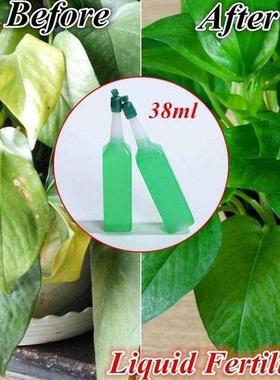 38ml Hydroponic Plant Nutrient Solution Fertilizer Bamboo Fl