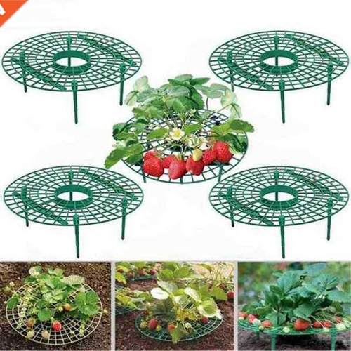 15 Pcs Strawberry Stand Frame Holder Balcony Planting Rack F