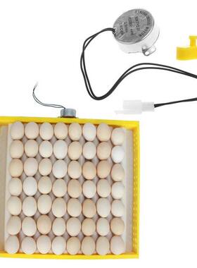 220V AC Egg Automatic Incubator For Farm Eggs Broedmachine M