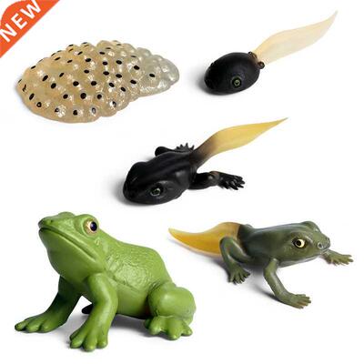 Simulation Animal Insects Marine life Model Action Mini Frog