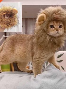 Cute Lion Mane Cat Wig Hat For Dogs And Cat Small Dog Pet Ca
