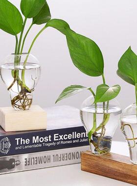 Glass Planter with Wooden Stand Hydroponics Plants Bulb Desk