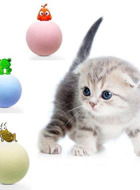 Pet Toy Interactive Ball Pet Squeaky Toy Cat Toy Play Chewin