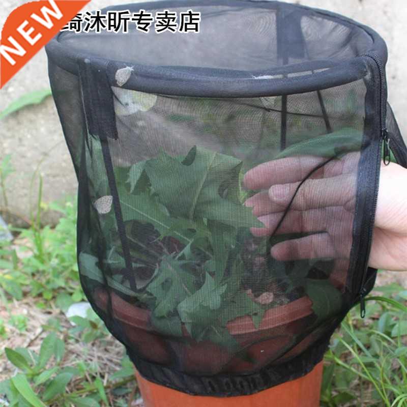 Butterfly Habitat Flower Pot Insect Feeding Net Cage Observa