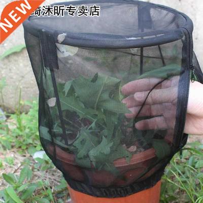 Butterfly Habitat Flower Pot Insect Feeding Net Cage Observa