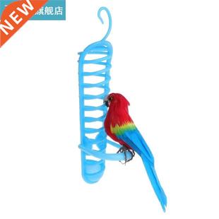 Fruit Vegetable Plastic Parrot Perch Basket Feeding Feeder