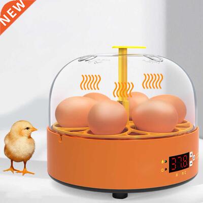 6 Eggs Eggs Incubator Chicken Incubator PID Heating Machine