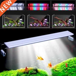 Fish Lights Tank Small Aqu Plants Clip Growing