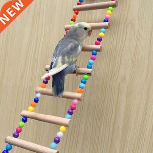Lads Climbing Toy Birds Colorful Parrots Hanging Bal Pets