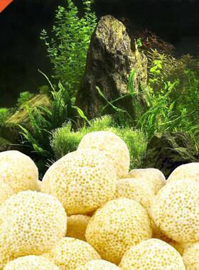 40pcs Bio Ball Aquarium Porous Ceramic Filter Media Net Bag
