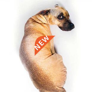 Cute dog Cushion animal Cartoon pillow fashion creative gif