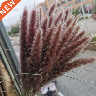 Pampas Grass Flowers 15Pcs Artificiales Small Pantas Dried