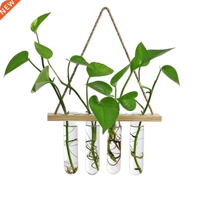 Creative Wall Hanging Hydroponic Vase Nordic Home Wall Decor