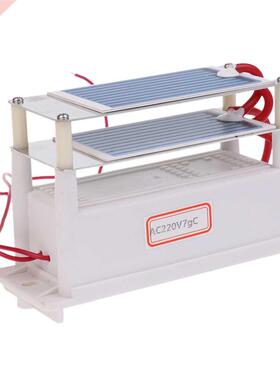 Ceramic Ozone Generator 220V 7g/H Double Ceramic Plate Air P