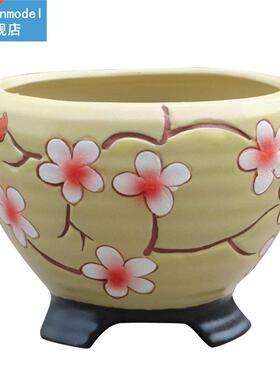 Hand Painted Indoor Outdoor Gift For Succulent Cactus Plant