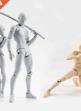 Anime figure movable Figures Toy Body Kun Body Chan Action F