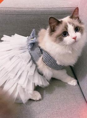 riped Cat Clothes Spring Summer Pet Clothing for Small Cat