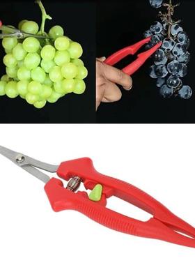 Stainless Steel+PVC Garden Shears Fruit Shears Gardening Han
