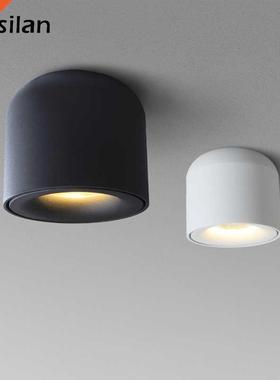 Aisilan LED Downlight Ceiling Spotlights Living Lamp Nordic