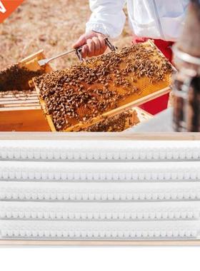 Mating Box Beekeeping Beehive Frame Double Row Cell Cups Bee