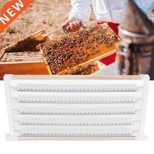 Beehive Frame Cups Box Bee Cell Beekeeping Row Mating Double