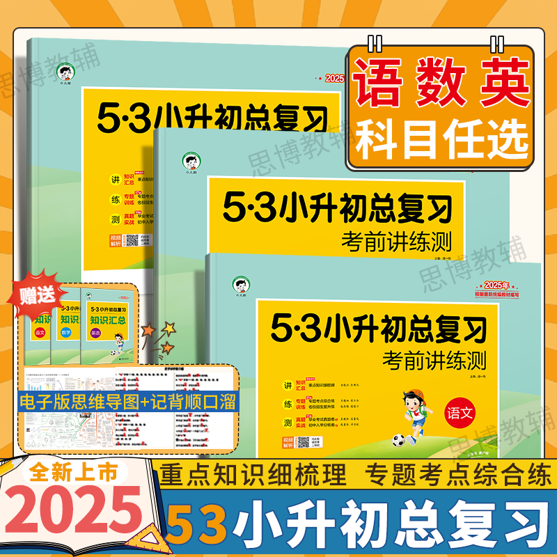 2025版53小升初总复习真题卷