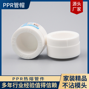 水管管件配件 PPR热熔堵头 PPR管帽 抛光管件 PPR接头配件