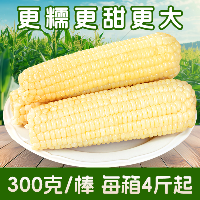 穗康糖心糯玉米300g大棒6支新鲜白糯玉米甜糯粗粮早餐真空装礼盒-,粮油调味/速食/干货/烘焙,玉米,淘宝优惠券,粉丝福利购,淘宝优惠卷