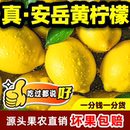 奶茶店专用薄皮大果新鲜生柠檬 四川安岳黄柠檬整箱产地批发当季