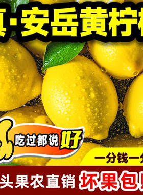 【有货优质一级大果】安岳黄柠檬