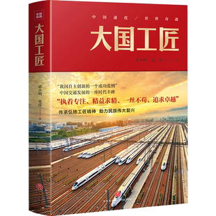 大国工匠 以我国高铁事业发展为背景反映我国高铁技术人员工作和生活滨江机车厂青年杨浪彭薇罗娟宋飞等人长篇小说 天地出版社