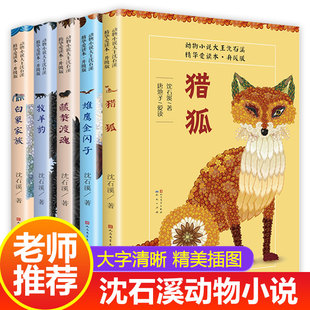 12岁小学生阅读三四五六年级课外书 书7 小说文学故事书沈石溪作品 5册沈石溪动物小说精华爱读本全套猎狐白象家族牧羊豹正版