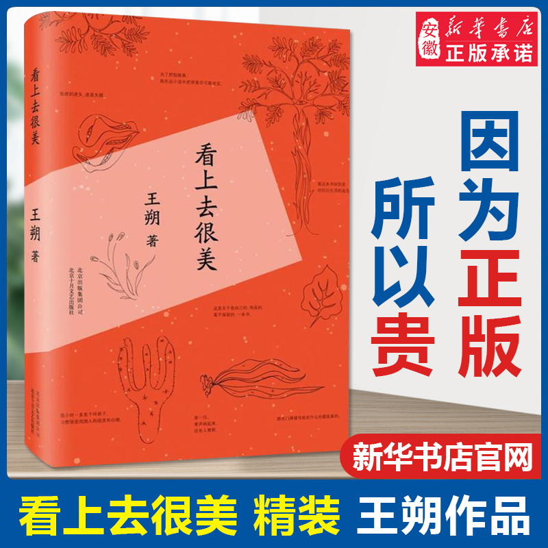 正版现货 看上去很美 王朔随笔集作品致女儿书我是你爸爸 爱情小说都市 情感小说中国现当代文学经典文学小说 畅销书籍排行榜