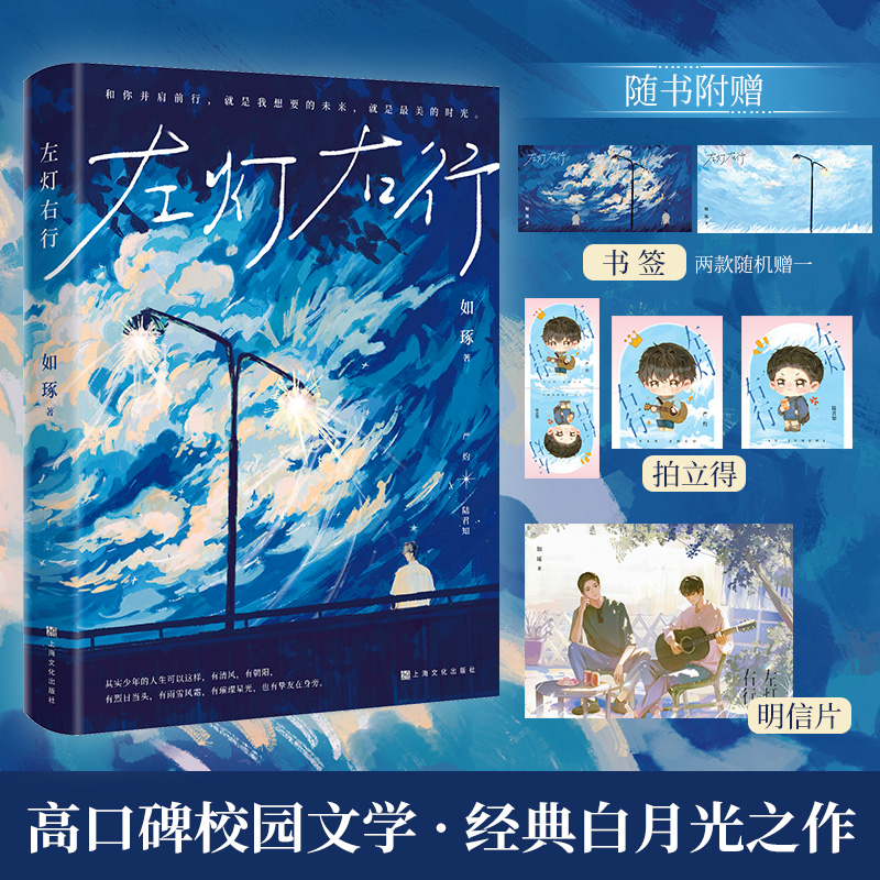 【赠书签+明信片+拍立得】高口碑校园文学 经典白月光之作 新增番外《童年》 内外双封 严灼×陆君知 双向救赎