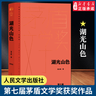 湖光山色周大新茅盾文学获奖作品