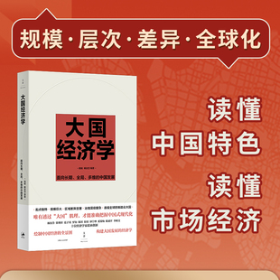 安徽新华书店旗舰店 大国经济学：面向长期、全局、多维的中国发展 “中国好书”月榜图书，系统解读中国经济的通 上海人民出版社
