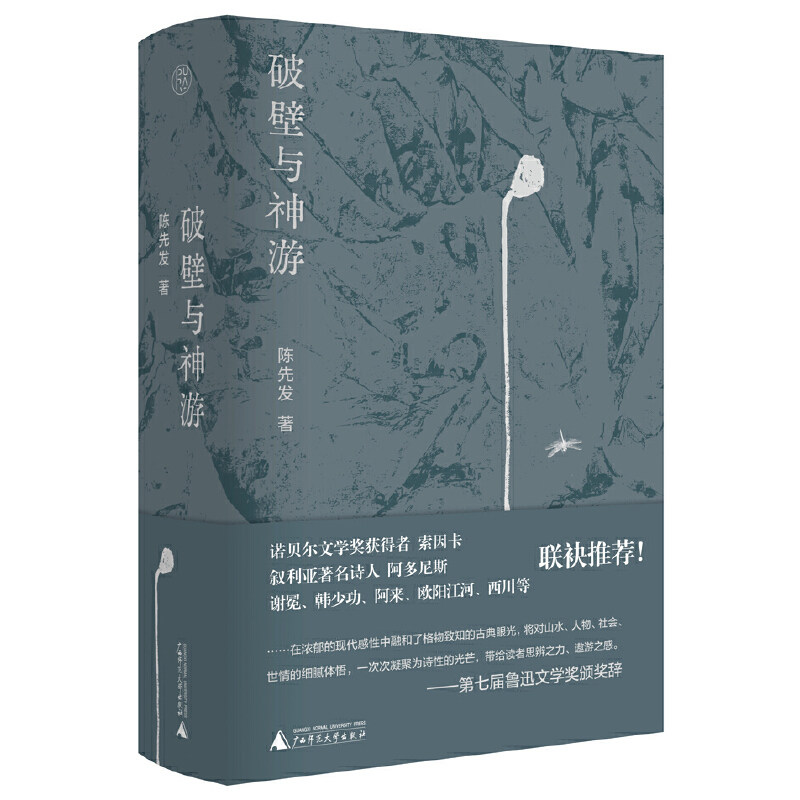 纯粹·破壁与神游 陈先发著 纯粹系列 对当下汉语写作有不可多得的借鉴与启示价值 广西师范大学出版社
