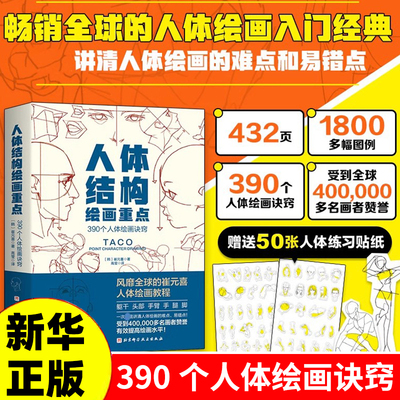 人体结构绘画重点崔元喜TACO