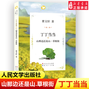 “丁丁当 当 ”之山那边还是山草根街 曹文 轩著作系列儿童文学青少年成长励志读物三四五六年级小学生课外阅读书籍天天出版社正版