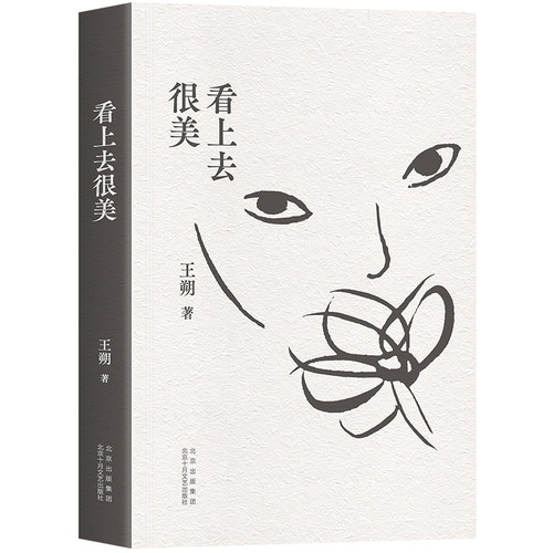 新经典王朔看上去很美全新再版