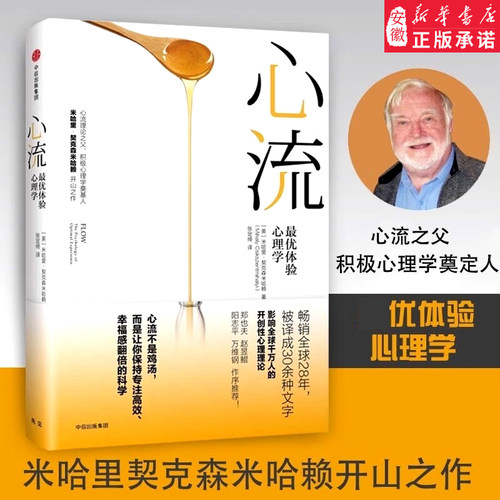 心流体验心理学中信出版心流