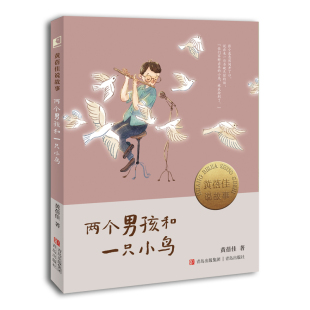 以温暖之笔书写多样童年 两个男孩和一只小鸟 以理解之心关照心灵成长 当代作家黄蓓佳为小孩子写大文学 儿童文学 黄蓓佳说故事