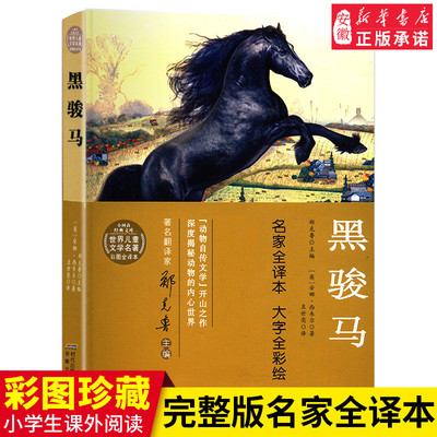 正版 黑骏马 完整版原著 珍藏版 小树苗经典文库世界 文学名著彩图名家全译本 中小学生三四五六年级课外阅读书籍6-12岁安少