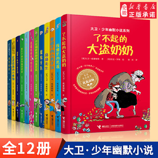 大盗奶奶大卫威廉姆斯世界外国经典 了不起 儿童文学青少年校园小说小学生课外阅读励志成长书籍 大卫少年幽默小说系列全套12册